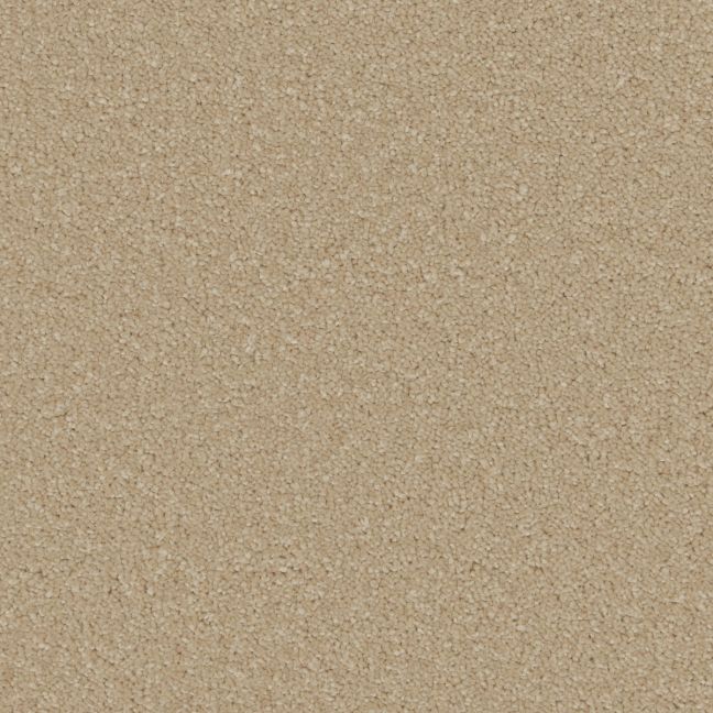 Cormar Carpet Co Ultimate Sensation Laguna
