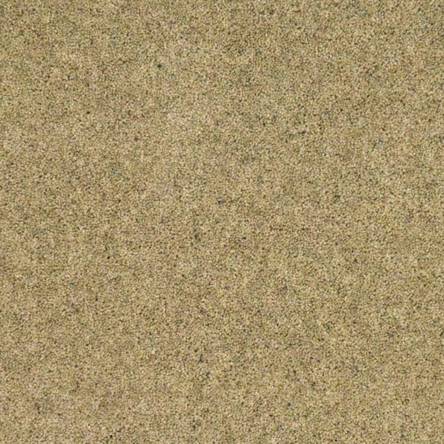 Penthouse Carpets Vermont Shelby 60oz Penthouse Carpets Vermont Shelby 60oz