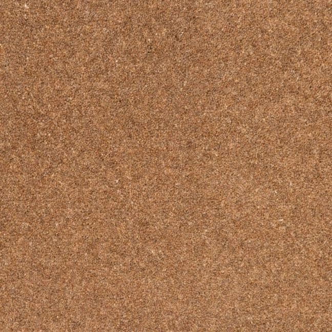Penthouse Carpets Springtime Shetland 40oz Penthouse Carpets Springtime Shetland 40oz