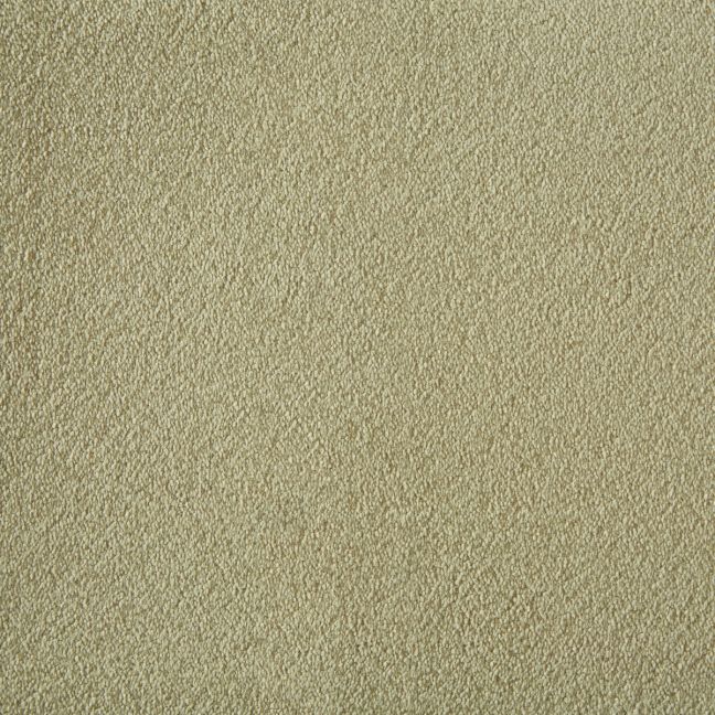 Westex Carpet Silken Velvet Chic Cashmere Westex Carpet Silken Velvet Chic Cashmere