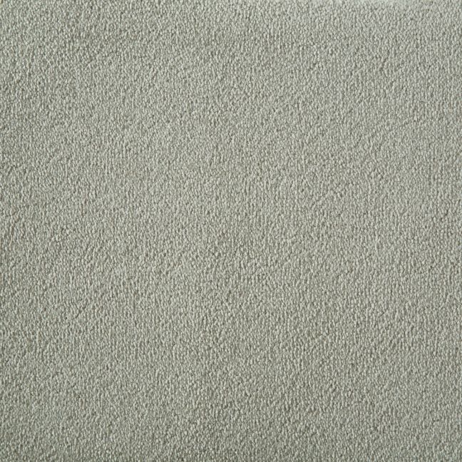 Westex Carpet Silken Velvet Chic Charm