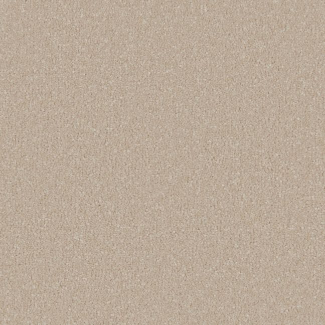Cormar Carpet Co Silken Serenity Antique White Cormar Carpet Co Silken Serenity Antique White