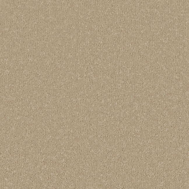 Cormar Carpet Co Silken Serenity Malt Cormar Carpet Co Silken Serenity Malt