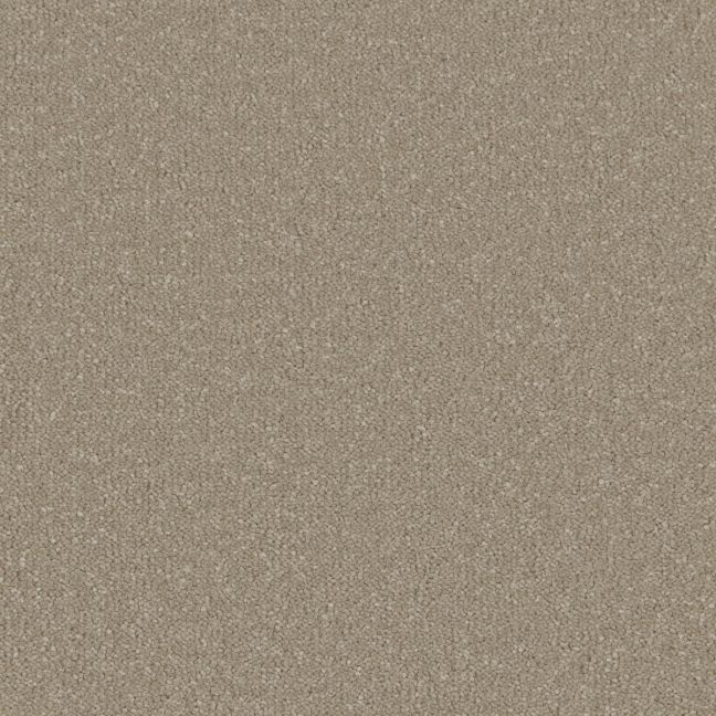 Cormar Carpet Co Silken Serenity Nocciola Cormar Carpet Co Silken Serenity Nocciola
