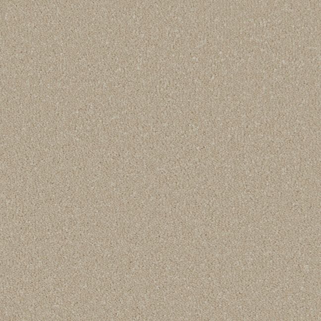 Cormar Carpet Co Silken Serenity Stucco Cormar Carpet Co Silken Serenity Stucco