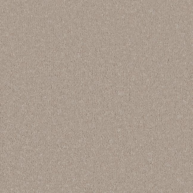 Cormar Carpet Co Silken Serenity Taffetta Cormar Carpet Co Silken Serenity Taffetta