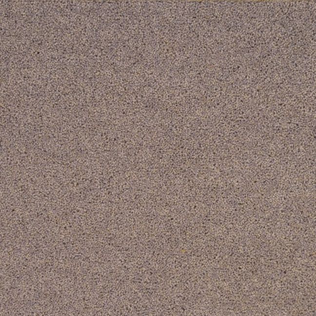 Penthouse Carpets Pentwist Naturals Silver Birch 40oz