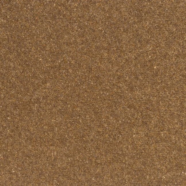 Penthouse Carpets Springtime Southdown 50oz Penthouse Carpets Springtime Southdown 50oz