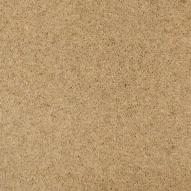 Penthouse Carpets Seasons Summer