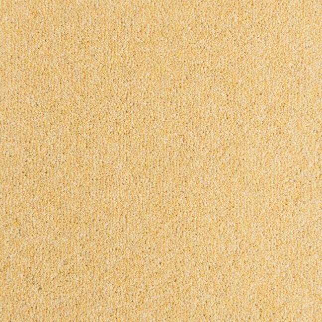Penthouse Carpets Seasons Sunrise Penthouse Carpets Seasons Sunrise