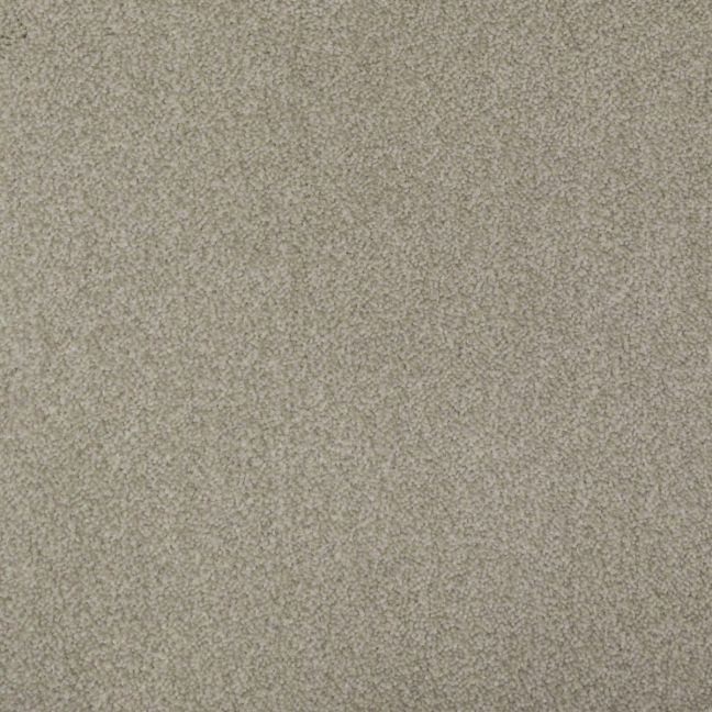 Mayfield Carpets Amorosa Tenderness Mayfield Carpets Amorosa Tenderness