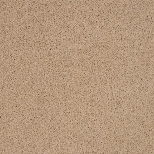 Penthouse Carpets Pentwist Naturals Thistledown 40oz