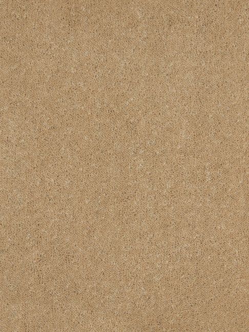 Westex Carpet Ultima Twist Major Autumn Dawn
