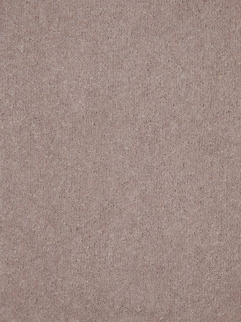 Westex Carpet Ultima Twist Ultima Bark Westex Carpet Ultima Twist Ultima Bark