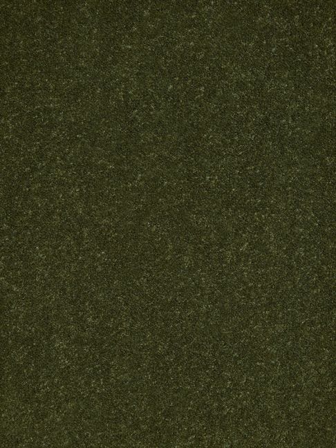 Westex Carpet Ultima Twist Major Bottle Green Westex Carpet Ultima Twist Major Bottle Green
