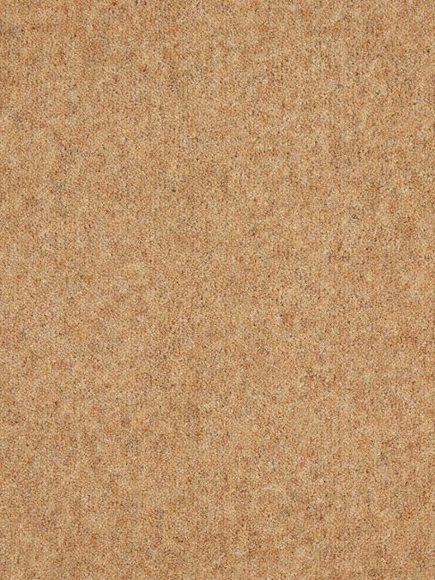Westex Carpet Ultima Twist Pinnacle Buff