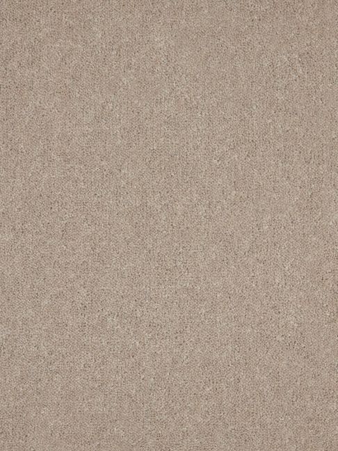Westex Carpet Ultima Twist Penultima Chicory Westex Carpet Ultima Twist Penultima Chicory