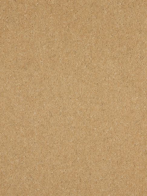 Westex Carpet Ultima Twist Major Cornsilk Westex Carpet Ultima Twist Major Cornsilk
