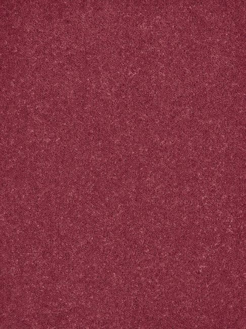 Westex Carpet Ultima Twist Pinnacle Dogwood