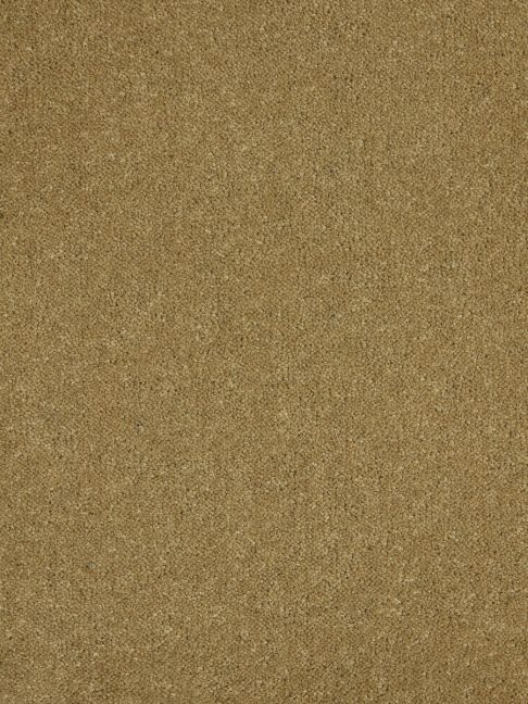 Westex Carpet Ultima Twist Pinnacle Eucalyptus Westex Carpet Ultima Twist Pinnacle Eucalyptus