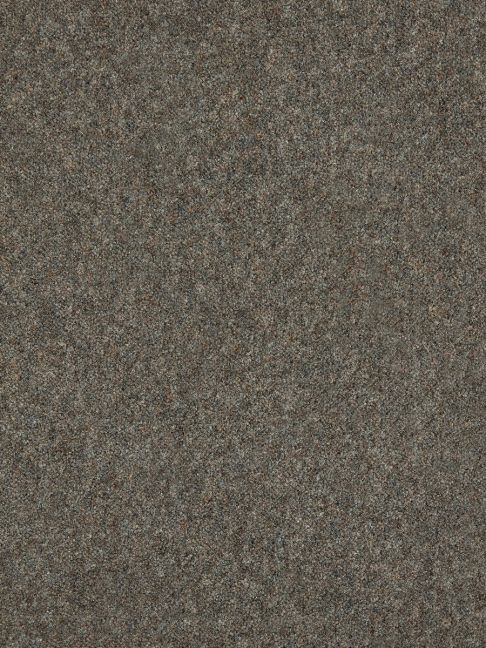 Westex Carpet Ultima Twist Major Fossil Westex Carpet Ultima Twist Major Fossil