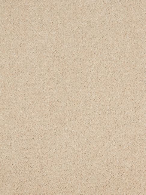 Westex Carpet Ultima Twist Ultima Sherbet Westex Carpet Ultima Twist Ultima Sherbet