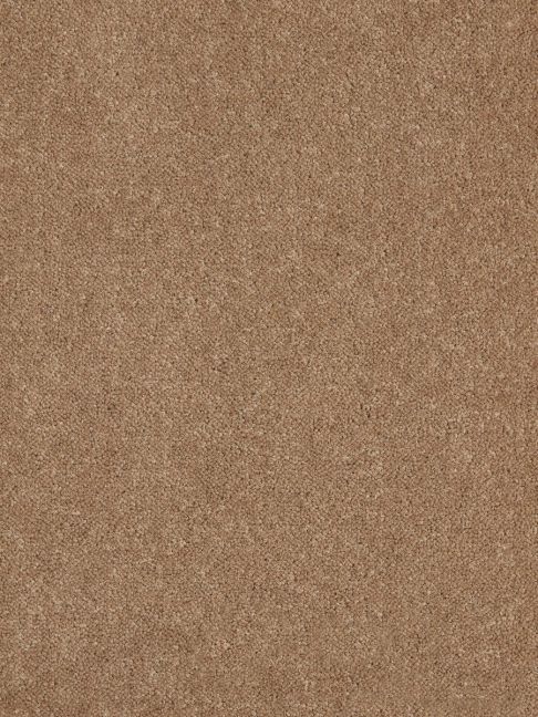 Westex Carpet Ultima Twist Ultima Springbok