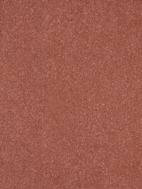Westex Carpet Ultima Twist Pinnacle Squirrel Westex Carpet Ultima Twist Pinnacle Squirrel