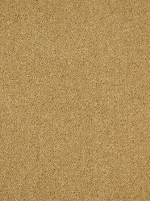 Westex Carpet Ultima Twist Penultima Tuscan Harvest