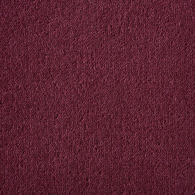 Ultima Twist Crest Dogwood