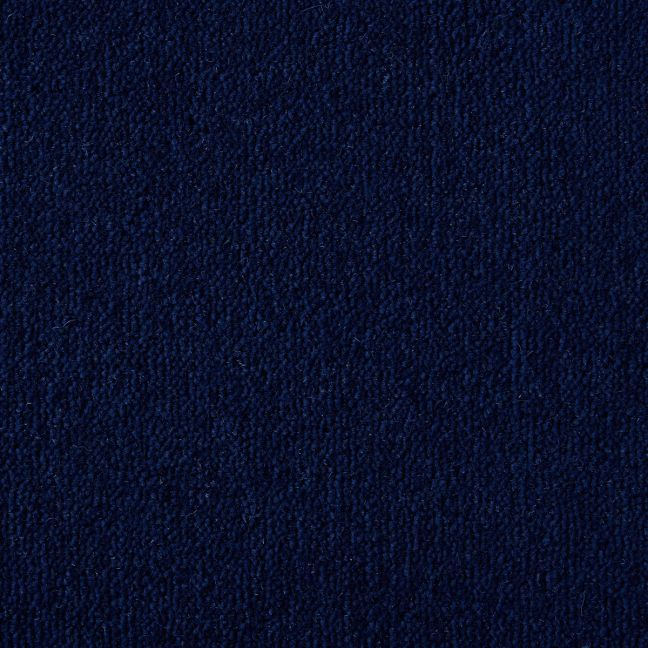 Fennel Blue Fennel Blue