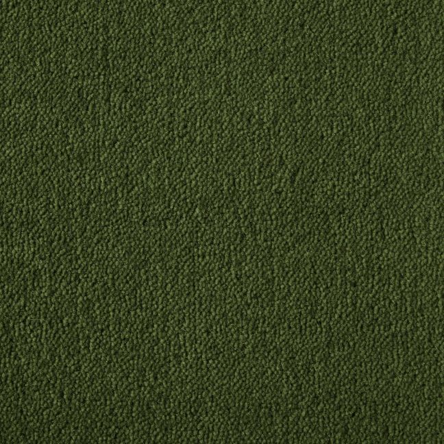Olive Green Olive Green
