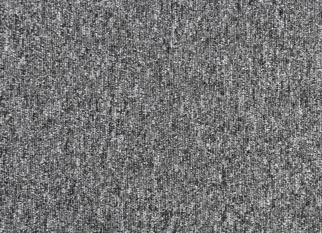Paragon Vital Carpet Tile 8001 Paragon Vital Carpet Tile 8001