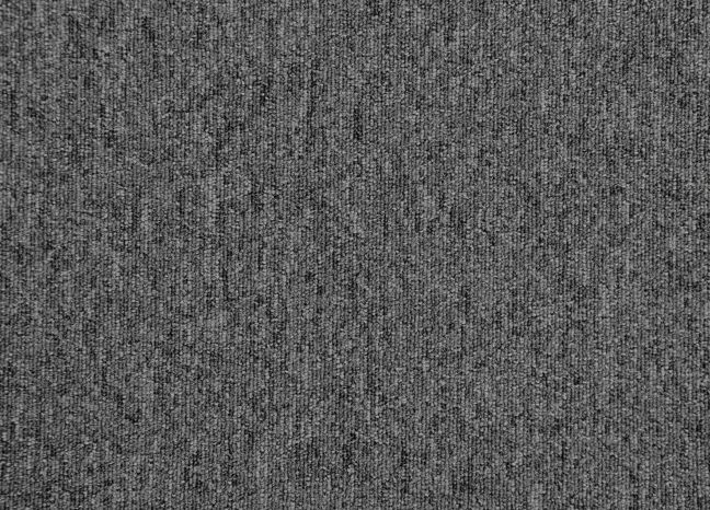 Paragon Vital Carpet Tile 8316 Paragon Vital Carpet Tile 8316