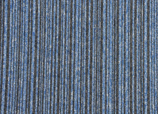 Paragon Vital Carpet Tile 876013 Paragon Vital Carpet Tile 876013