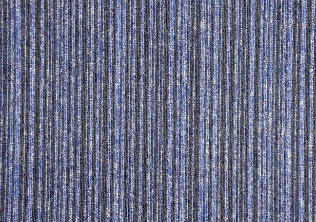 Paragon Vital Carpet Tile 876310 Paragon Vital Carpet Tile 876310