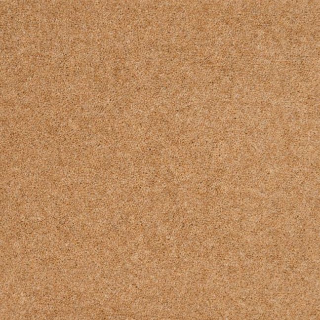 Penthouse Carpets Cumbrian Wasdale 50oz Penthouse Carpets Cumbrian Wasdale 50oz