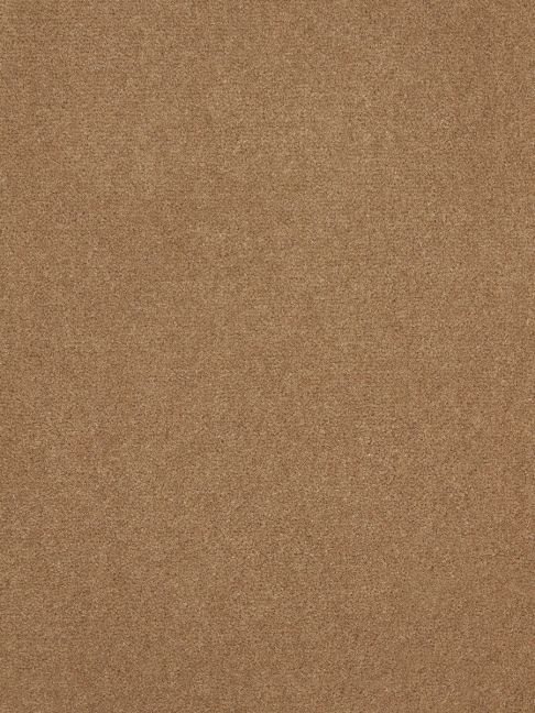 Westex Carpet Westend Velvet Exquisite Moccasin Westex Carpet Westend Velvet Exquisite Moccasin