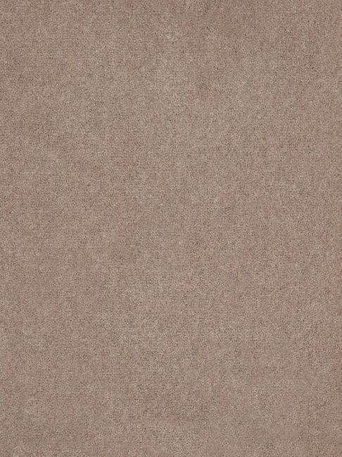 Westex Carpet Westend Velvet Supreme Ormolu Westex Carpet Westend Velvet Supreme Ormolu