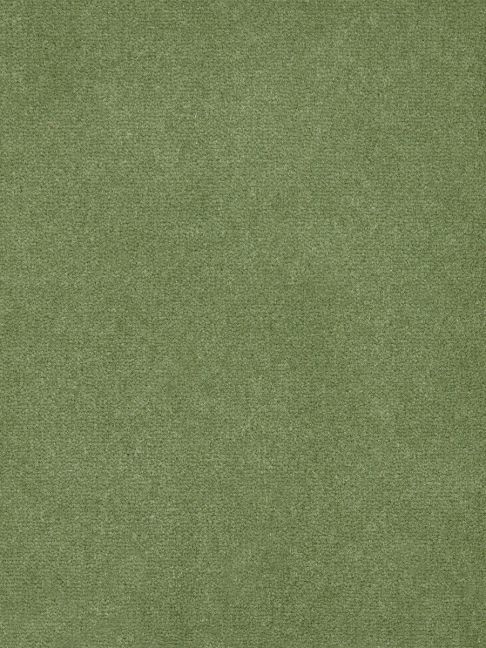 Westex Carpet Westend Velvet Prestige Reseda Westex Carpet Westend Velvet Prestige Reseda