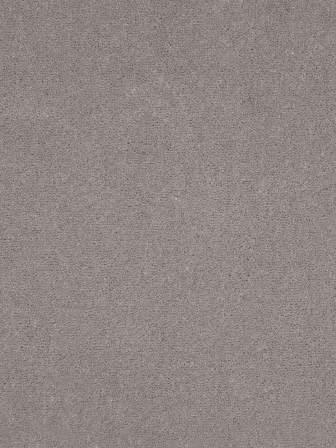 Westex Carpet Westend Velvet Westend Silver Birch Westex Carpet Westend Velvet Westend Silver Birch