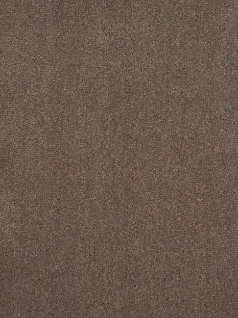 Westex Carpet Westend Velvet Prestige Suede Westex Carpet Westend Velvet Prestige Suede