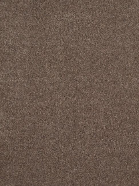Westex Carpet Westend Velvet Supreme Suede Westex Carpet Westend Velvet Supreme Suede