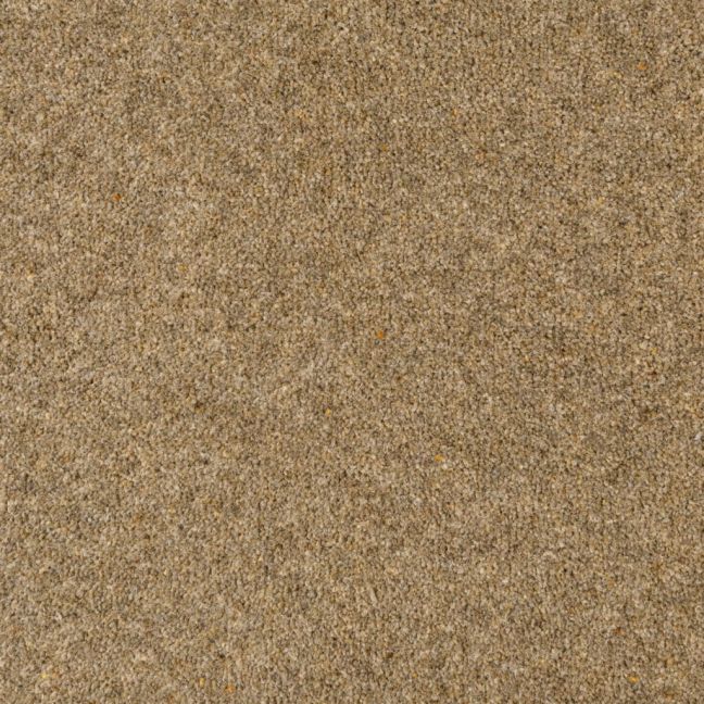 Penthouse Carpets Seasons Winter