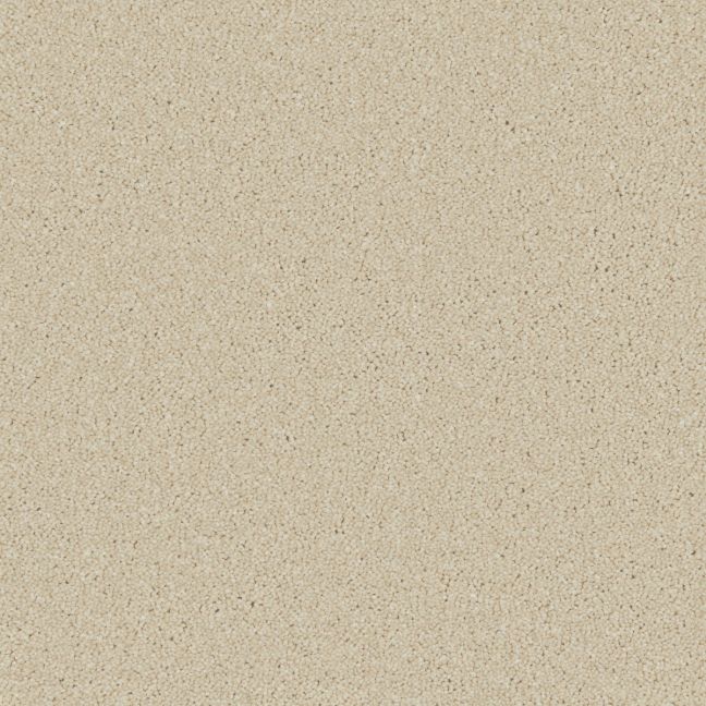 Cormar Carpet Co Zenith Caribou