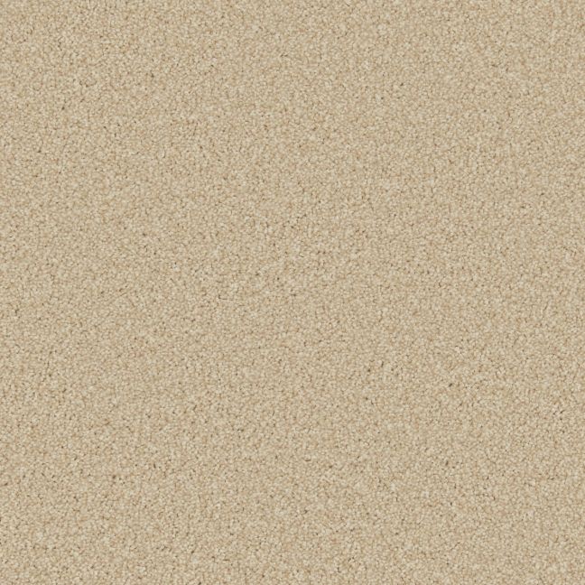 Cormar Carpet Co Zenith Lakeside