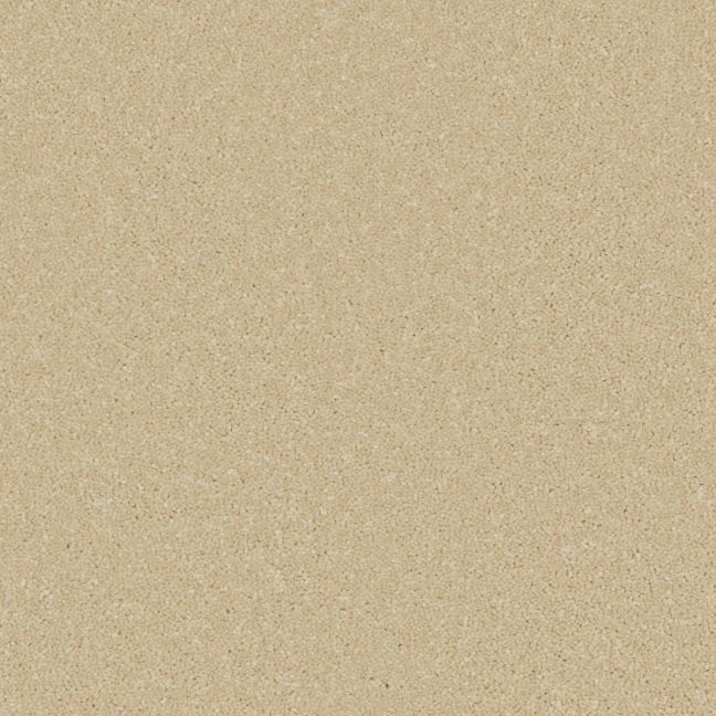Cormar Carpet Co Zenith Palomino Gold