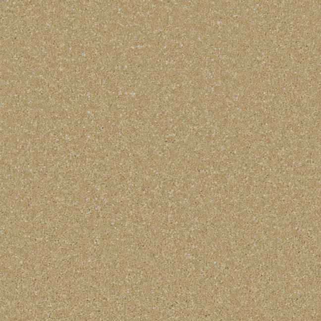 Cormar Carpet Co Zenith Sandy Bay