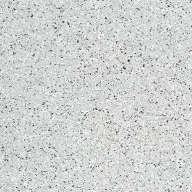 Carbon 0249 Carbon 0249