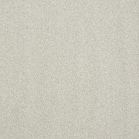Abingdon Carpet Stainfree Pure Elegance Frosted Steel